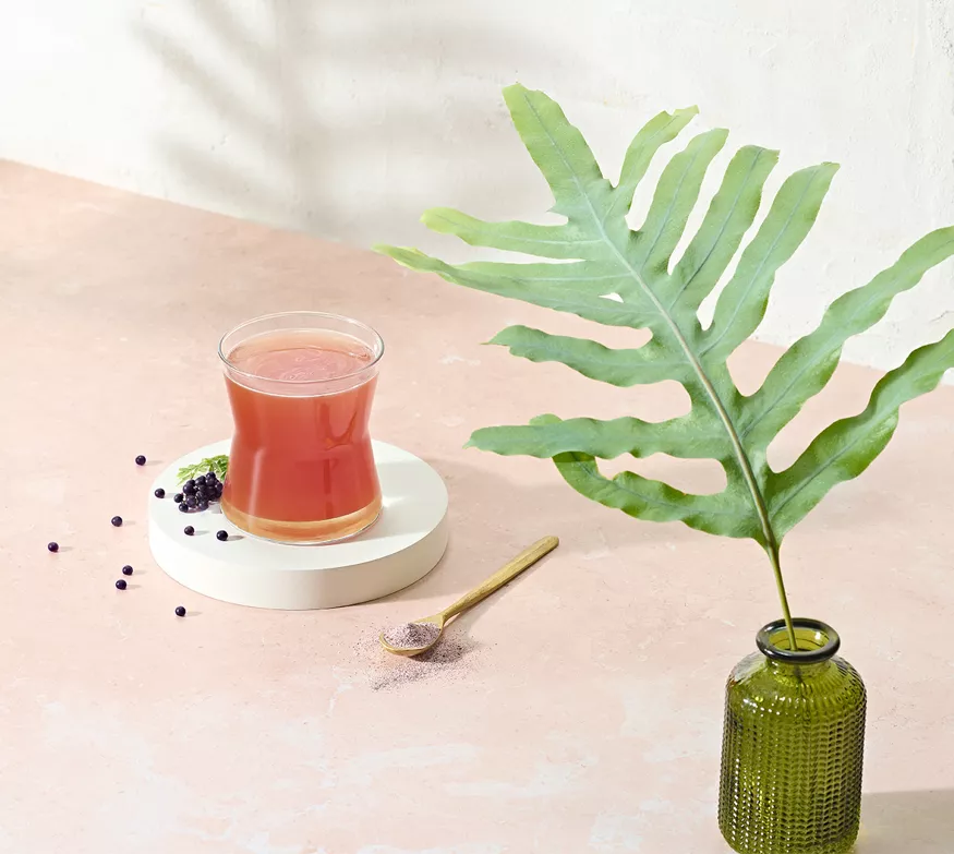 Herbalife Immune Booster med hyllebær